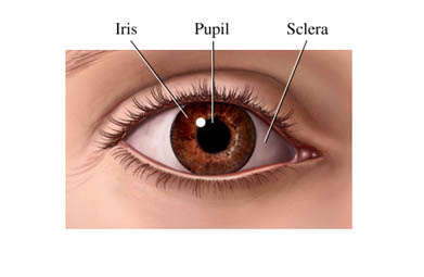 Glaucoma Disease Symptoms