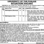 PU-Jobs-in-Lahore-Engineering-Branch