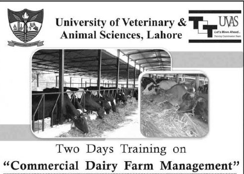 UVAS-Lahore-Training-Feb-2018