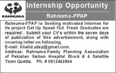 Rahnuma Internship Program