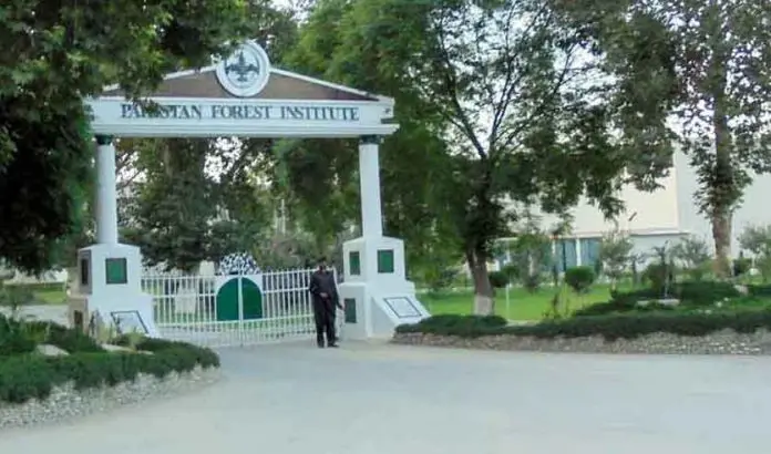 Pakistan-Forest-Institute-Admissions