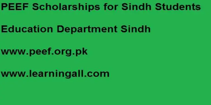 PEEF-Sindh-Scholarships-2021