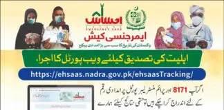 Ehsaas-Check-online-Application-Nadra-Status