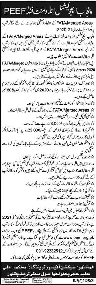 peef-scholarship-fata-2024