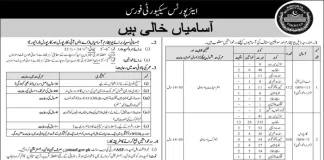 ASF Jobs 2023 Online Apply Airport