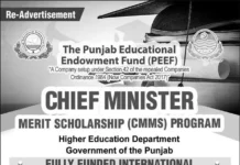 CM Punjab Merit PhD Scholarship 2024
