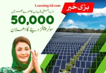 CM Punjab Solar Panel Scheme 2024