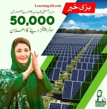 CM Punjab Solar Panel Scheme 2024