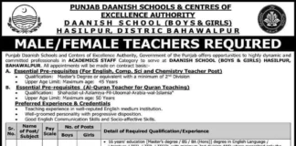 Punjab Daanish school hasilpur Teaching Jobs 2024