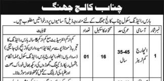 chenab college jhang jobs 2024