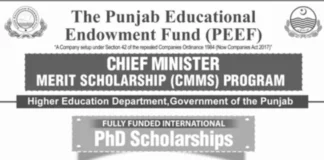 CM Punjab Merit PhD Scholarship 2025