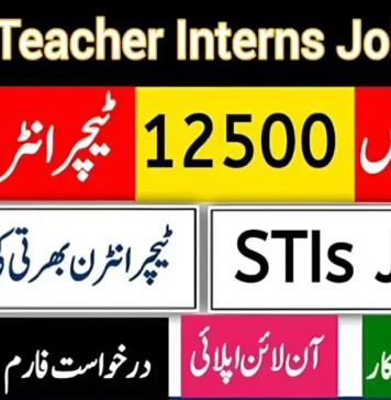 STI Jobs 2025 Apply Online